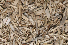 biomass boilers Cavendish